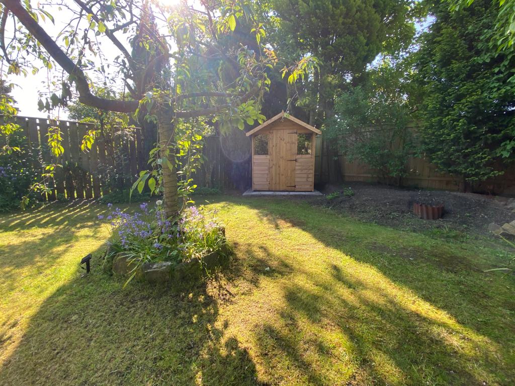 Cabin Shed