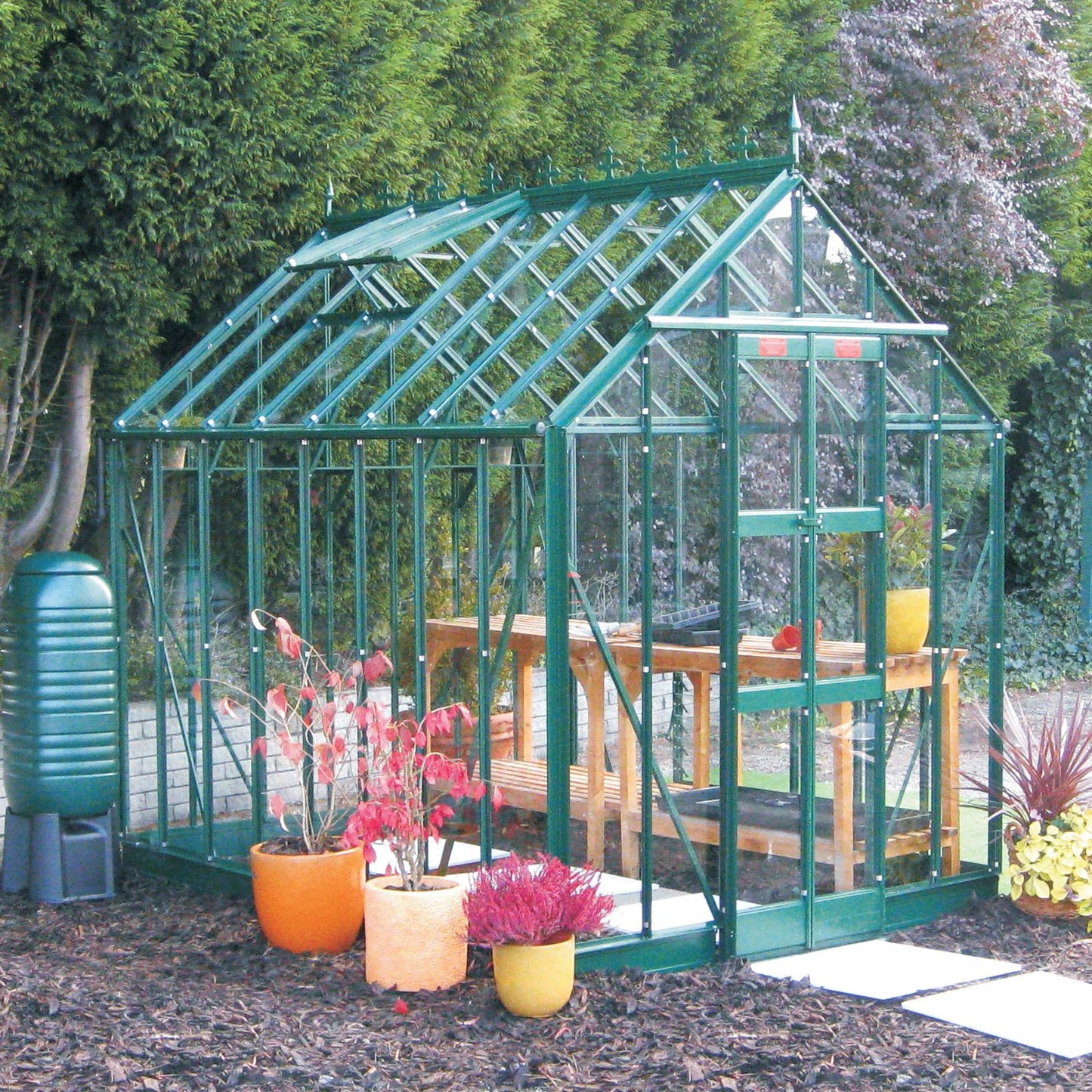 Elite Thyme Greenhouse - 6ft wide