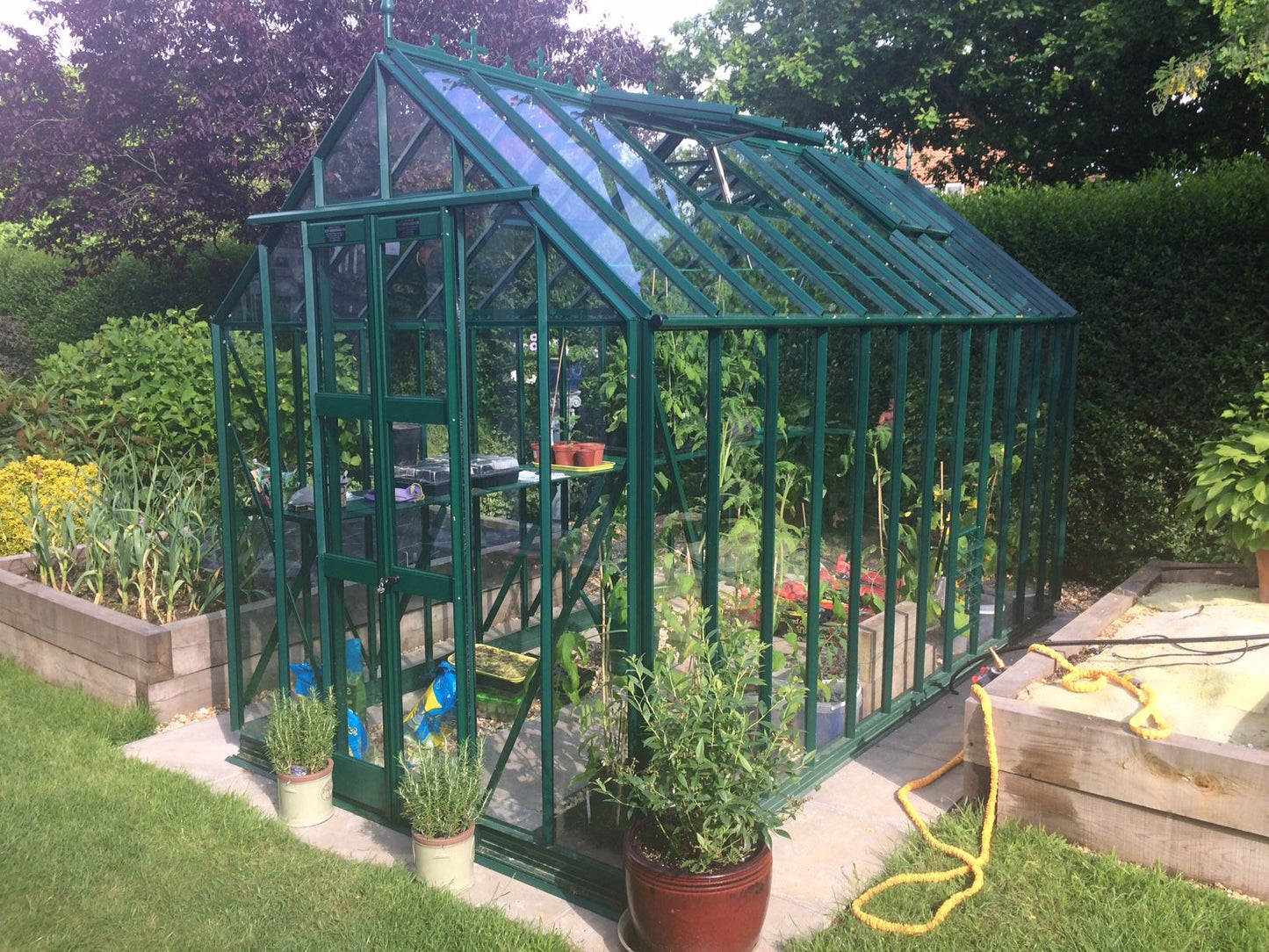 Elite Thyme Greenhouse - 6ft wide