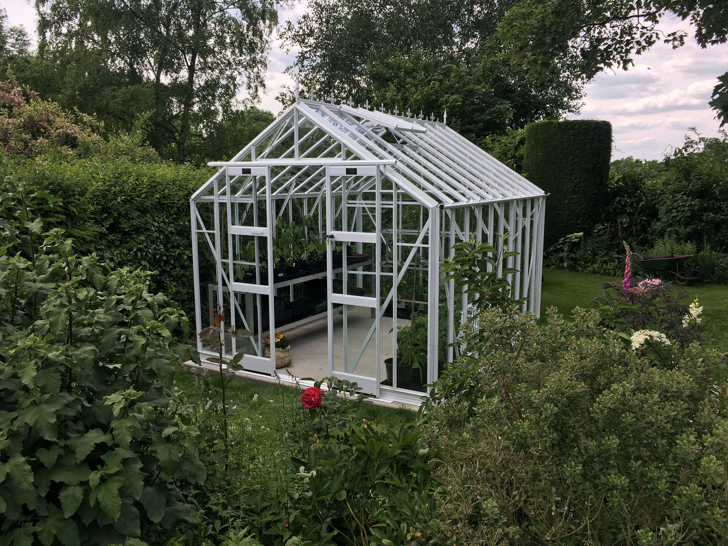 Elite Thyme Greenhouse - 8ft wide