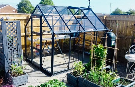 Elite 8 x 6 powder coated Craftsman greenhouse 3